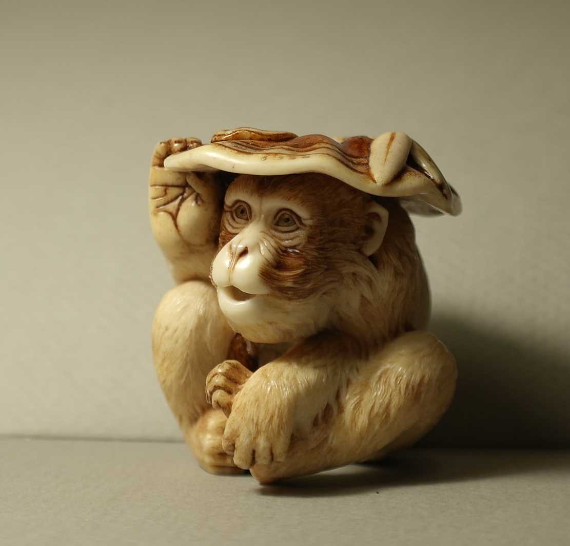 Monkey and reishi003